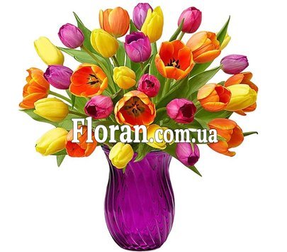 31 тюльпан мікс