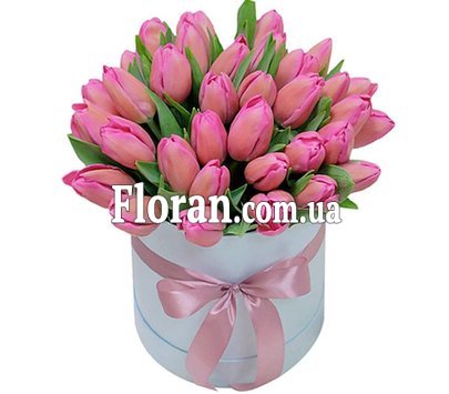 35 тюльпанів у коробці
