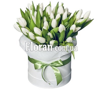 41 тюльпан у капелюшній коробці