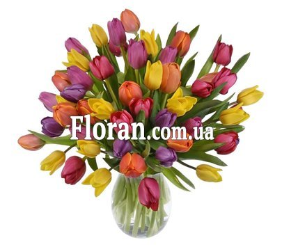 45 tulips mix