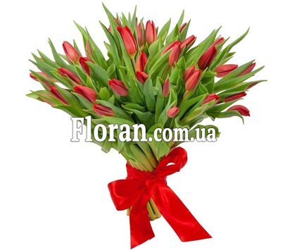 51 червоний тюльпан