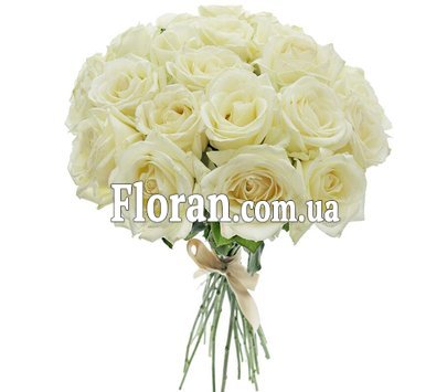 Белые розы 27 штук