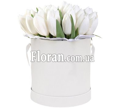 Білі тюльпани в круглій коробці