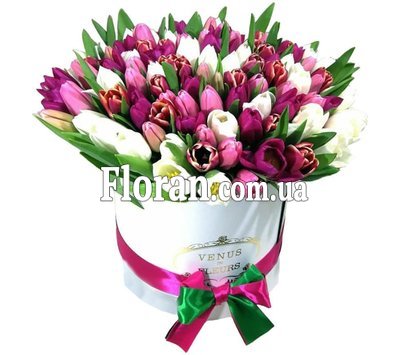 Большой букет тюльпанов в коробке