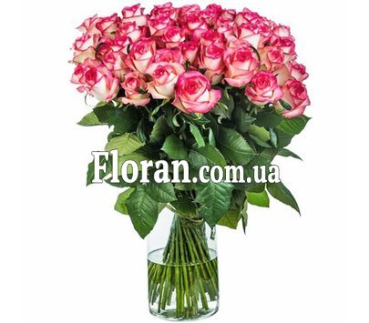 Букет 51 троянда