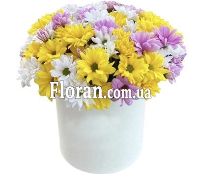 Букет хризантем у коробці