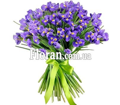 Букет из ирисов с лентой