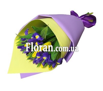 bouquet-of-tulips-and-irises-fl-2485