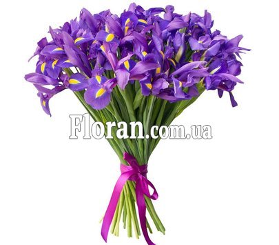 Букет красивых ирисов
