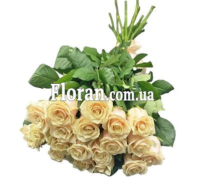 Букет кремового цвета