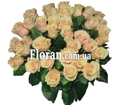 Букет кремовых роз