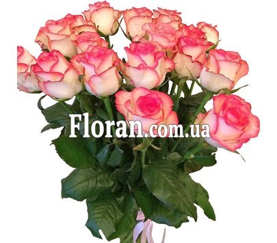 Букет роз 19 штук