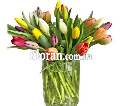 Букет із тюльпанів різних кольорів