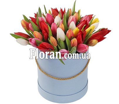Квіти тюльпани в капелюшній коробці