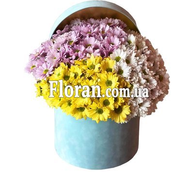 Цветы в коробке хризантемы