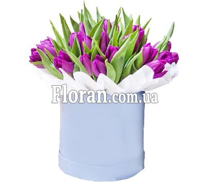 Фіолетові тюльпани в коробці