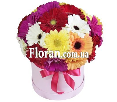 Гербери в шляпній коробці