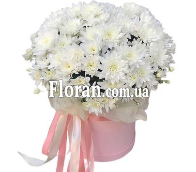 Хризантеми в капелюшній коробці