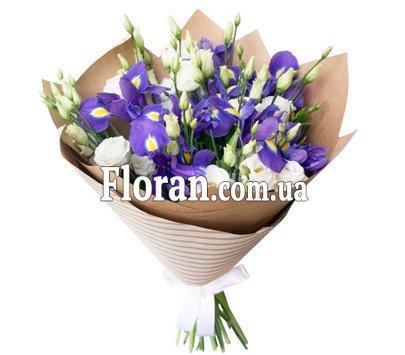 Іриси та еустоми