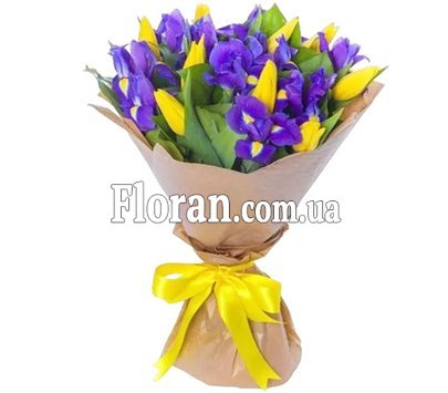 Іриси та жовті тюльпани