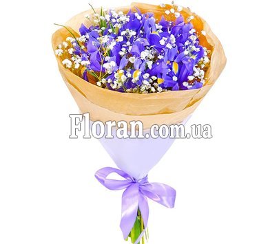 Іриси з гіпсофілою букет