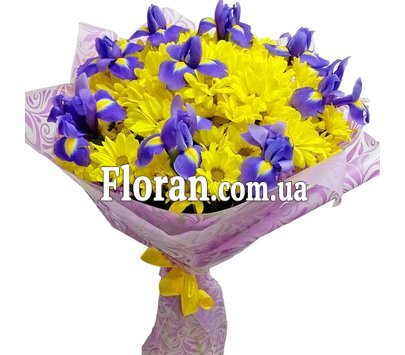 Іриси з жовтими хризантемами