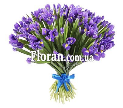 Іриси у букеті