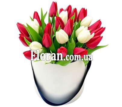 Композиція з червоних та білих тюльпанів