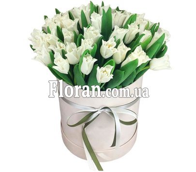 Коробка білих тюльпанів