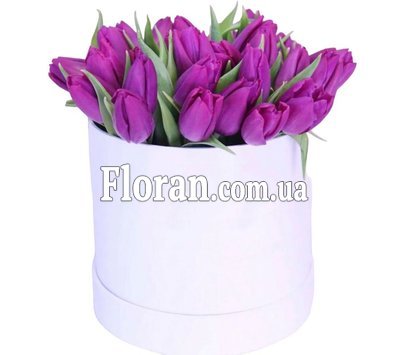 Коробка фіолетових тюльпанів