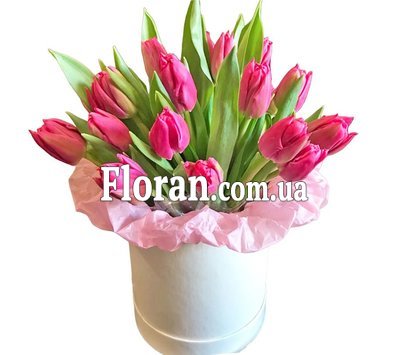 Коробка із рожевих тюльпанів