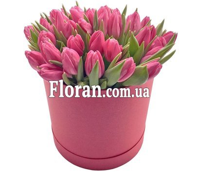 Коробка рожевих тюльпанів