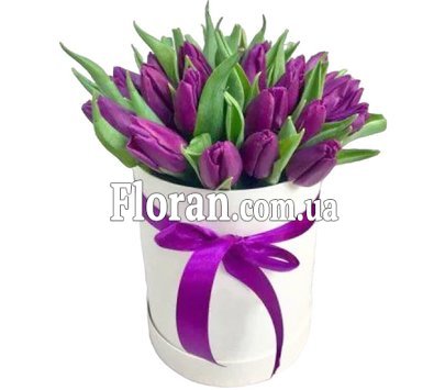 Коробка з фіолетовими тюльпанами