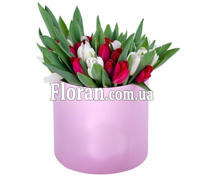 Коробка с красных и белых тюльпанов