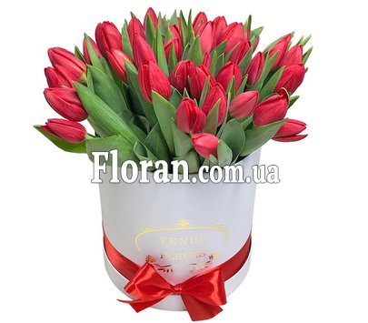 Коробка с красными тюльпанами