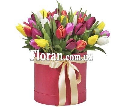 Коробка з тюльпанами на подарунок