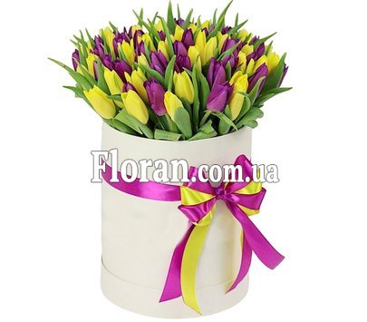 Коробка з жовтими і фіолетовими тюльпанами