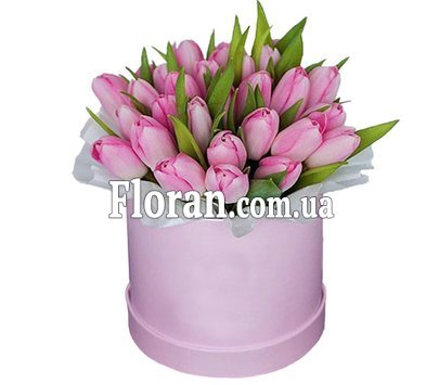 Коробка тюльпанів для дівчини