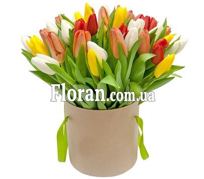 Коробка тюльпанів різнокольорових