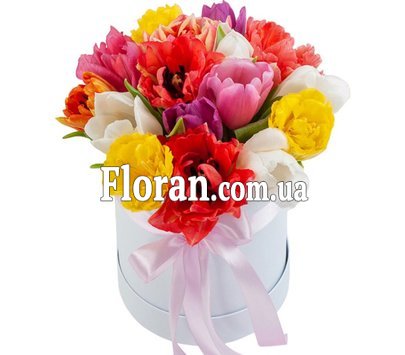 Коробочка різнокольорових тюльпанів