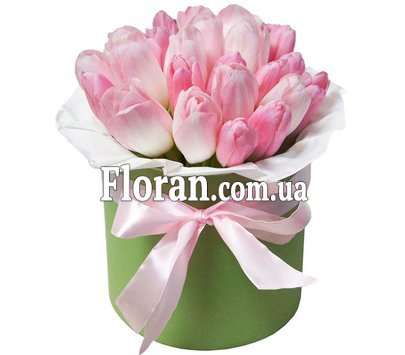Коробочка рожевих тюльпанів