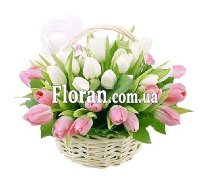 Кошик з білими та рожевими тюльпанами