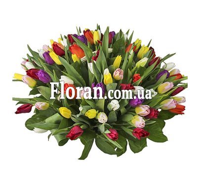 Basket of tulips