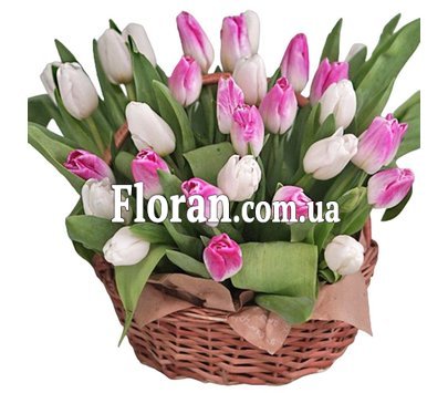 Корзинка тюльпанов