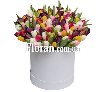 Красива коробка з тюльпанами