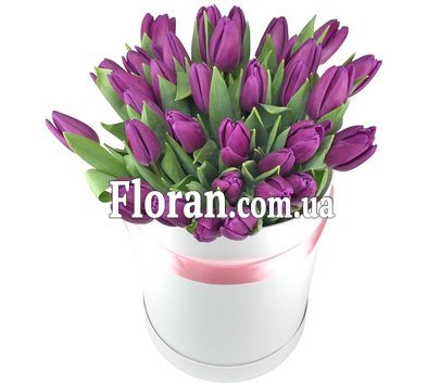 Красива коробка тюльпанів