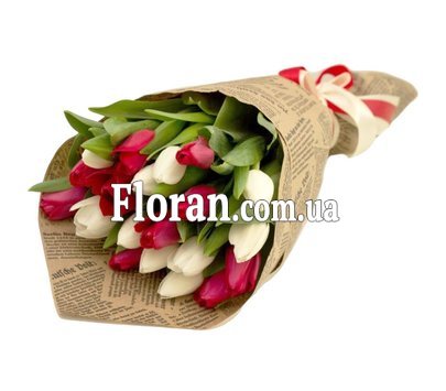 Red and white tulips