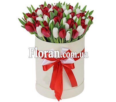 Красные и белые тюльпаны в коробке