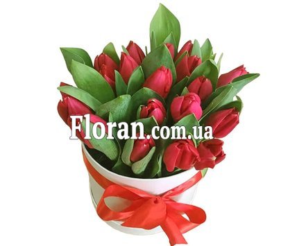 Червоні тюльпани у круглій коробці