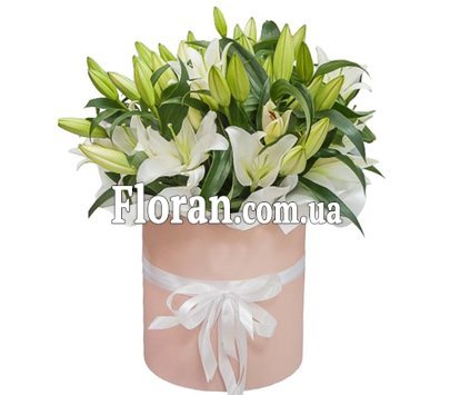 Лілії в коробці